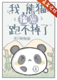 我熊猫不服(穿越)