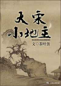 大宋小地主 百度网盘